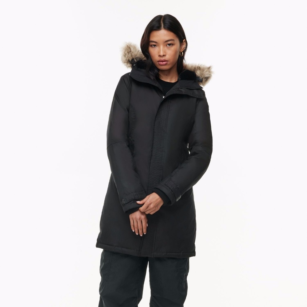 Aritzia TNA Summit Parka